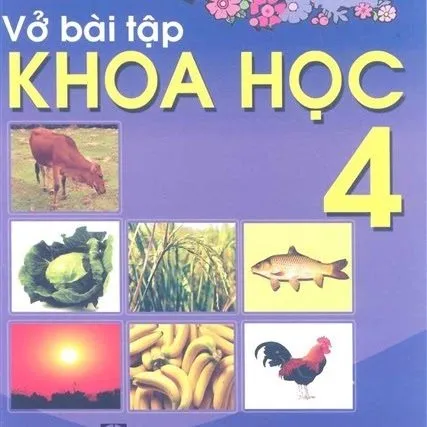 https://sachgiaokhoa123.com/wp-content/uploads/2025/05/bai-tap-khoa-hoc-4.webp