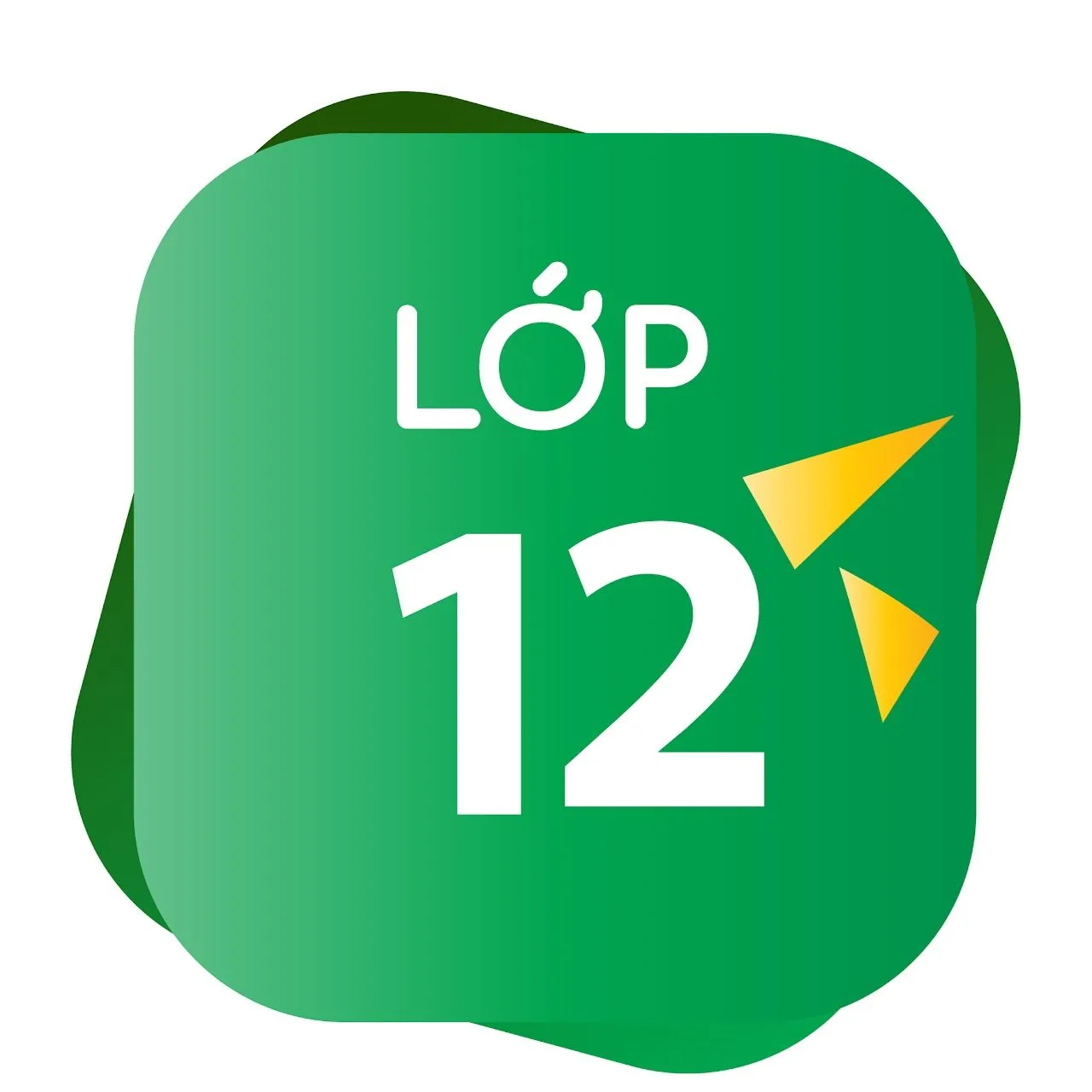 icon lớp 12