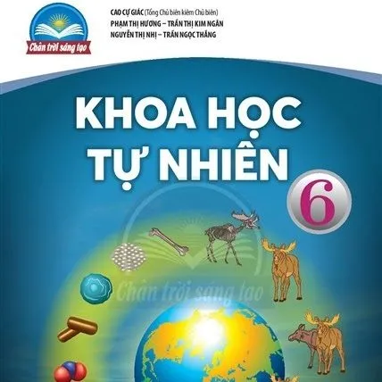 https://sachgiaokhoa123.com/wp-content/uploads/2025/05/lop-6-chan-troi-sang-tao-06.webp
