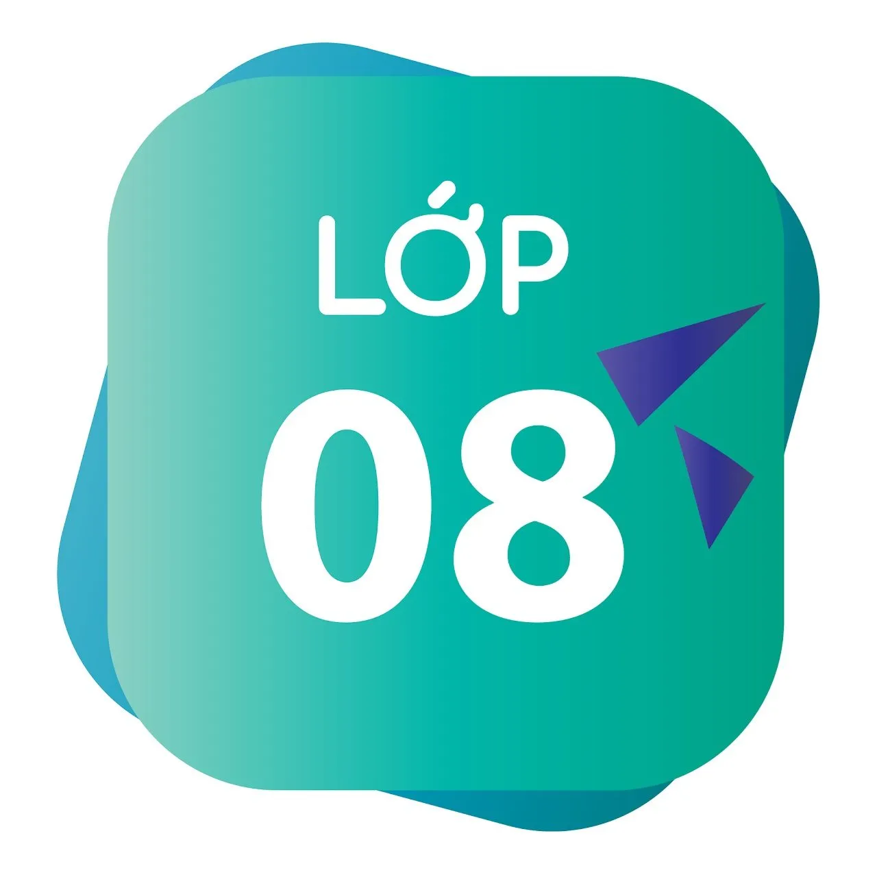 icon lớp 8