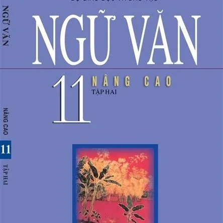 https://sachgiaokhoa123.com/wp-content/uploads/2025/05/ngu-van-11-nang-cao-tap-2.webp
