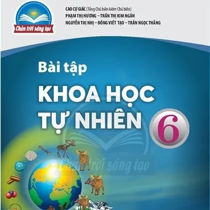 https://sachgiaokhoa123.com/wp-content/uploads/2025/05/sach-bai-tap-lop-6-chan-troi-sang-tao-06.webp