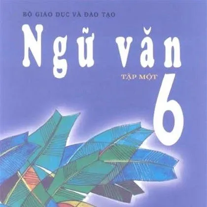 https://sachgiaokhoa123.com/wp-content/uploads/2025/05/sgk-lop-6-chuong-trinh-cu-1.webp