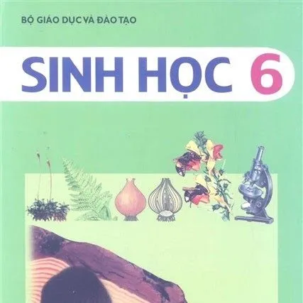 https://sachgiaokhoa123.com/wp-content/uploads/2025/05/sgk-lop-6-chuong-trinh-cu-9.webp