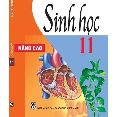 https://sachgiaokhoa123.com/wp-content/uploads/2025/05/sinh-hoc-11-nang-cao.webp