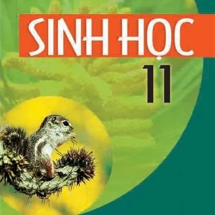 https://sachgiaokhoa123.com/wp-content/uploads/2025/05/sinh-hoc-11.webp
