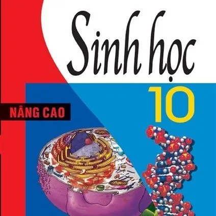 https://sachgiaokhoa123.com/wp-content/uploads/2025/05/sinh-hoc-nang-cao-10.webp