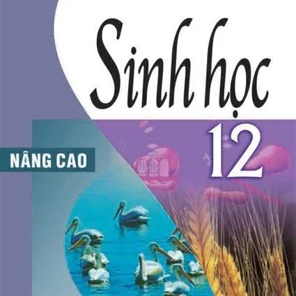 https://sachgiaokhoa123.com/wp-content/uploads/2025/05/sinh-hoc-nang-cao-12.webp