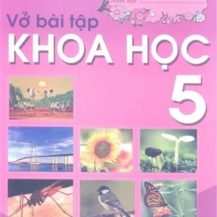 https://sachgiaokhoa123.com/wp-content/uploads/2025/05/vbt-khoa-hoc-5.webp