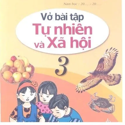 https://sachgiaokhoa123.com/wp-content/uploads/2025/05/vbt-tu-nhien-va-xa-hoi-3.webp