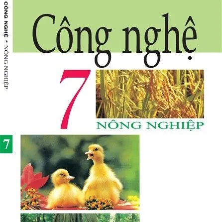 https://sachgiaokhoa123.com/wp-content/uploads/2025/08/congnghe_lop7.webp