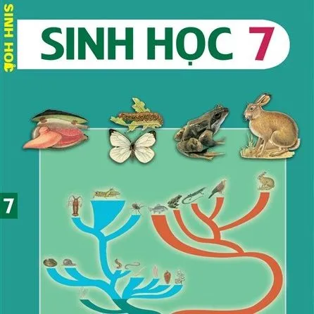 https://sachgiaokhoa123.com/wp-content/uploads/2025/08/sinhhoc_lop7.webp