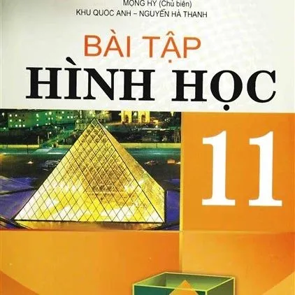 https://sachgiaokhoa123.com/wp-content/uploads/2025/08/toan-hinhhoc_lop11-baitap.webp