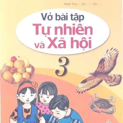 https://sachgiaokhoa123.com/wp-content/uploads/2025/08/tunhien-xahoi_lop3-baitap.webp